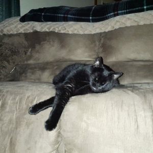 Meet your Posher, Erin